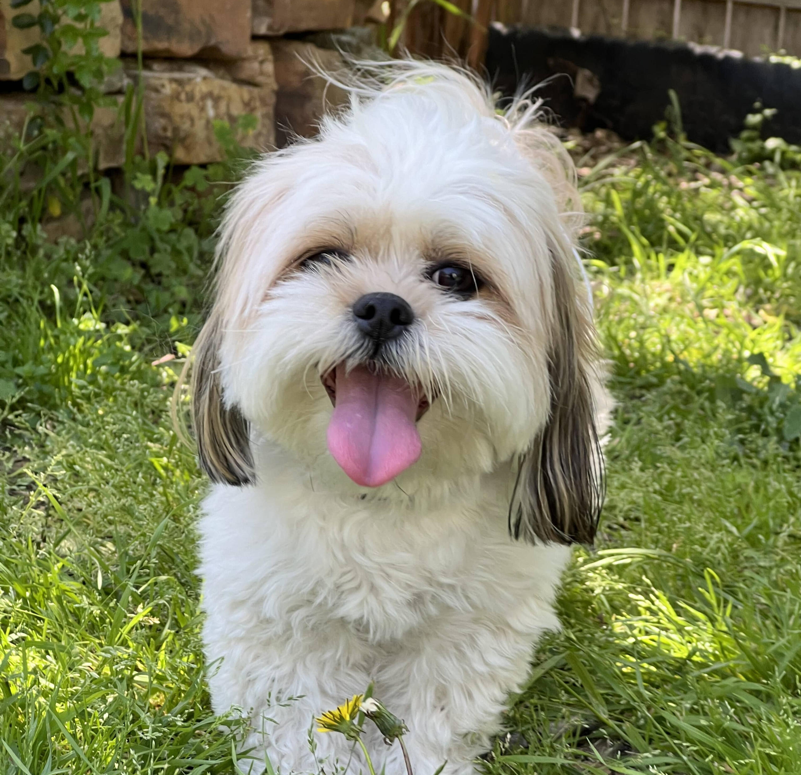 Julian And Pem Julian And Pem